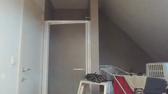 Vekie 007 online show from 17, 7, 2026