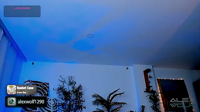 Snapshot of alex_wolf_ chatting on 17, 1, 2025 alex wolf online show from 17, 1, 2025