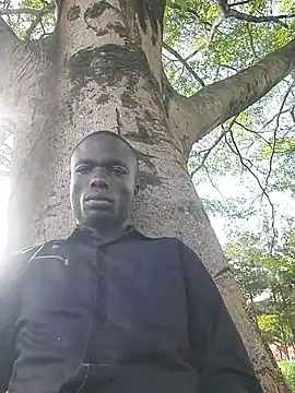 Javan  online show from 8, 10, 2025