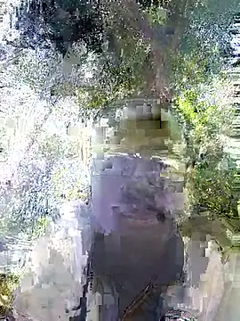 Javan  online show from 4, 2, 2026