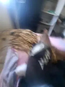 Rafs46 online show from 5, 3, 2026