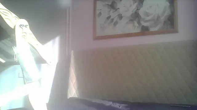 Snapshot of SunElizabeth chatting on 12, 6, 2026 SunElizabeth online show from 12, 6, 2026