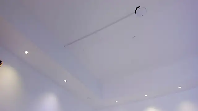 saracorraless online show from 13, 12, 2024