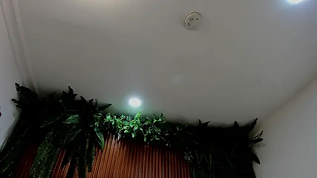 alice greco online show from 6, 3, 2026