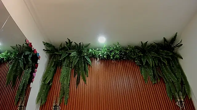 alice greco online show from 10, 3, 2026