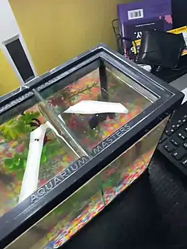 Snapshot of VFuck4U_xxx chatting on 10, 3, 2025 VFuck4U xxx online show from 10, 3, 2025