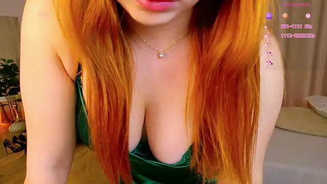 ArielSoft online show from 28, 7, 2026