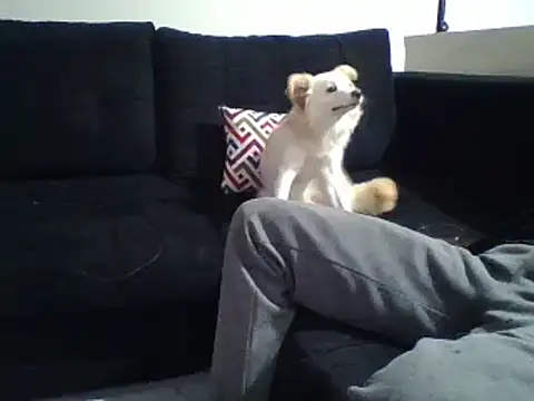 KikiLovesD online show from 31, 12, 2024