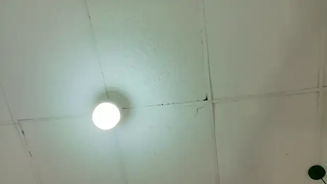 kendalltaylorr online show from 6, 3, 2026