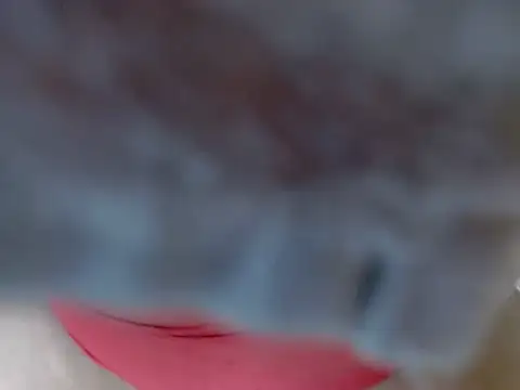 chanel love online show from 12, 9, 2025