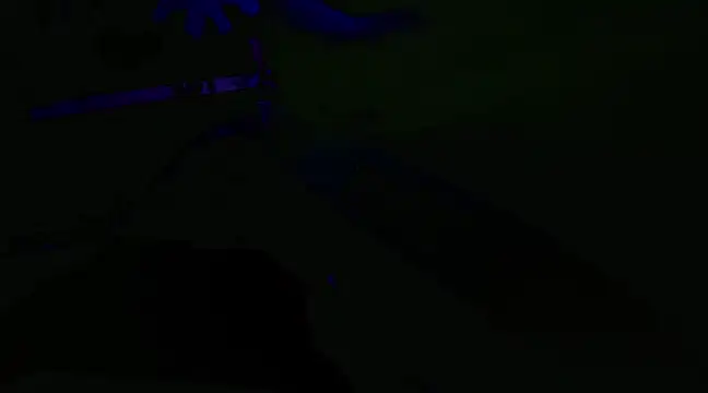 watermellonpussy online show from 29, 1, 2025