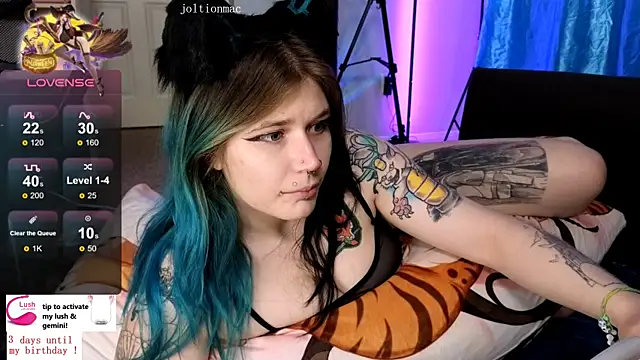 Snapshot of joltionmacc chatting on 17, 2, 2025 joltionmacc online show from 17, 2, 2025