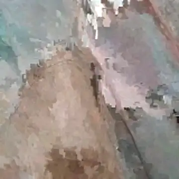 Snapshot of jockey2051992 chatting on 7, 3, 2026 jockey2051992 online show from 7, 3, 2026