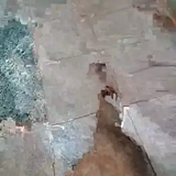 Snapshot of jockey2051992 chatting on 13, 4, 2026 jockey2051992 online show from 13, 4, 2026