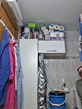 Javier bear online show from 19, 12, 2025