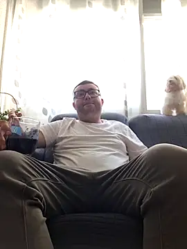 Javier bear online show from 11, 5, 2026