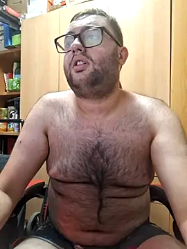 Javier bear online show from 13, 7, 2026