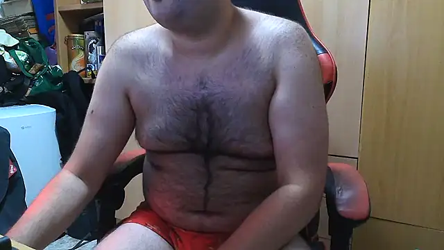 Javier bear online show from 20, 7, 2026