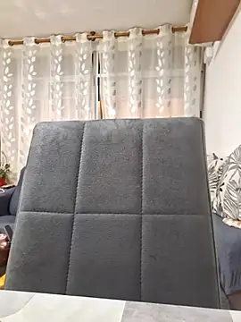 Javier bear online show from 24, 7, 2026