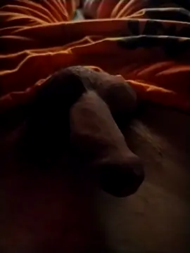 Luiz 097 online show from 13, 9, 2025