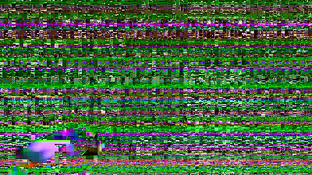 Smoker Ginger online show from 8, 10, 2025