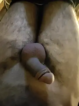 Snapshot of NilsonDick chatting on 29, 4, 2026 NilsonDick online show from 29, 4, 2026