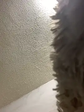 Snapshot of talitasilvx chatting on 18, 3, 2025 talitasilvx online show from 18, 3, 2025