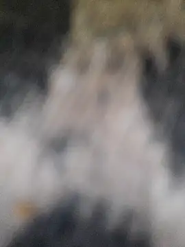 marcialoira online show from 5, 2, 2025