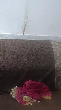 Snapshot of Aaradhya chatting on 24, 2, 2025 Aaradhya online show from 24, 2, 2025