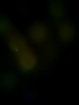 Snapshot of LongDickZee562 chatting on 8, 3, 2025 LongDickZee562 online show from 8, 3, 2025