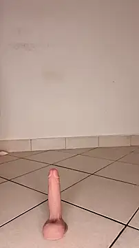 Snapshot of Perqueen chatting on 1, 11, 2025 Perqueen online show from 1, 11, 2025