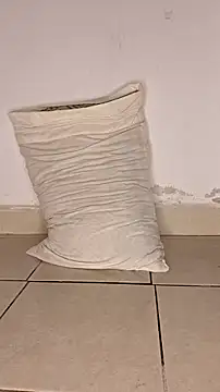 Perqueen online show from 7, 11, 2025