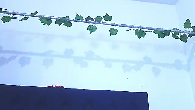 Snapshot of AliciaBasch chatting on 9, 1, 2025 AliciaBasch online show from 9, 1, 2025