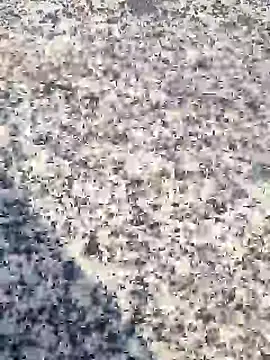 Beijing2000 online show from 30, 1, 2025