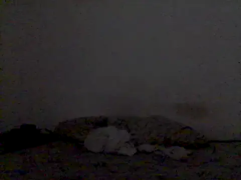 Snapshot of mariy_ chatting on 3, 3, 2025 mariy online show from 3, 3, 2025