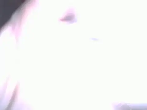 BobbyQ29 online show from 25, 4, 2026