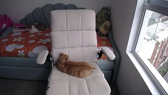  arianalzate  online show from 29, 1, 2025