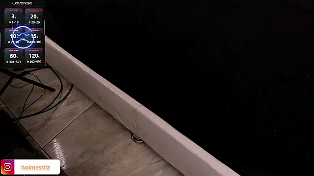 LIZ HOLMES online show from 4, 3, 2025