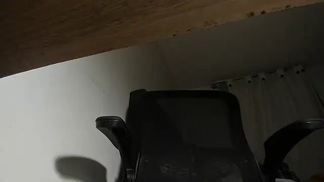 s sven03 online show from 14, 3, 2025