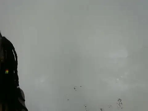 Rasta tattooed online show from 13, 3, 2026