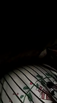 Snapshot of poussychats chatting on 12, 2, 2025 poussychats online show from 12, 2, 2025