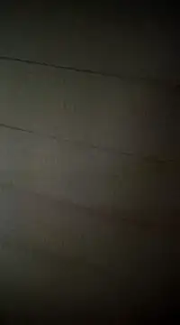 Snapshot of poussychats chatting on 16, 2, 2025 poussychats online show from 16, 2, 2025