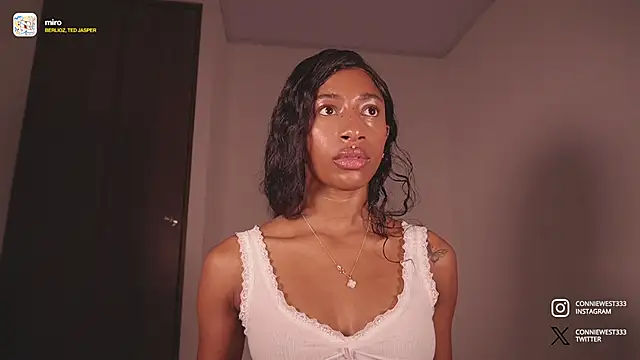 Snapshot of connie_west0 chatting on 29, 1, 2025 connie west0 online show from 29, 1, 2025