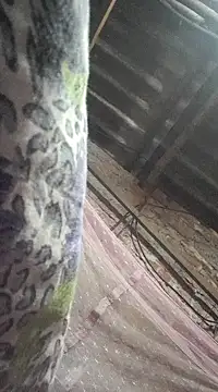 HotSexyBoudi online show from 21, 12, 2024