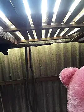 HotSexyBoudi online show from 25, 9, 2025