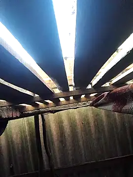 HotSexyBoudi online show from 16, 10, 2025