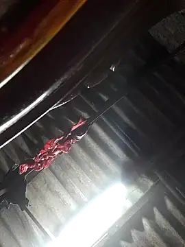 HotSexyBoudi online show from 4, 11, 2025