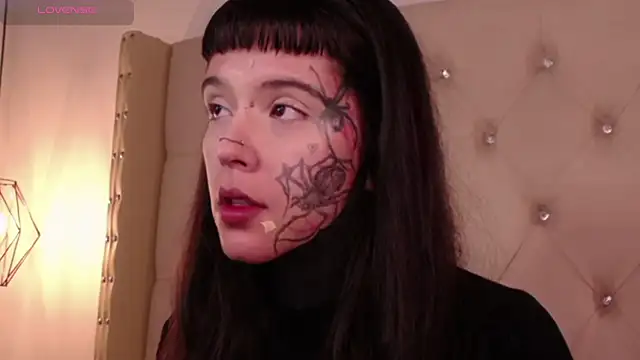 SylveonFox online show from 22, 12, 2024