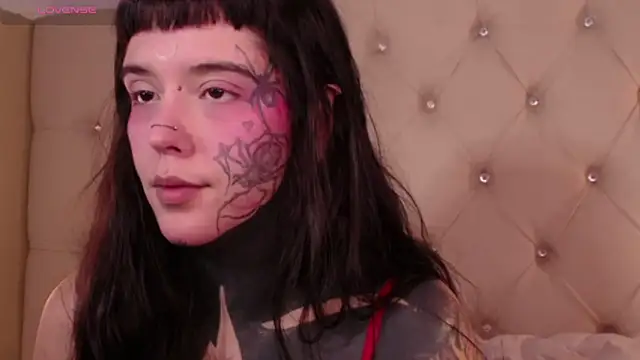 SylveonFox online show from 24, 12, 2024