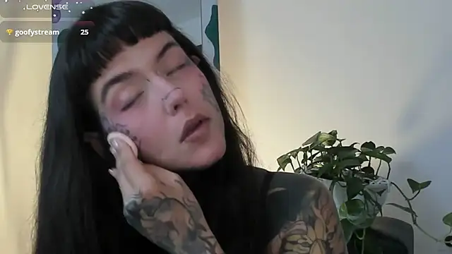 SylveonFox online show from 22, 3, 2025